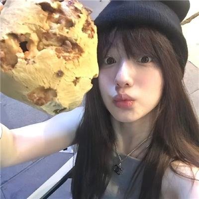 军犬麦克斯2:白宫英雄