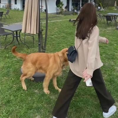 铁汉妖姬